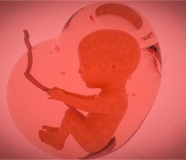 给婴幼儿天津捐卵宝宝添加辅食应避免“四大罪过”
