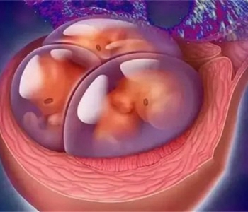3岁天津捐卵宝宝营养不良的标准 孩子营养问题关乎千万人的心